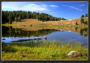 Bridger-Teton National Forest, Wyoming