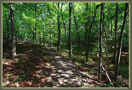 Virgin Falls State Natural Area, Tennessee