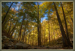 Virgin Falls State Natural Area, Tennessee