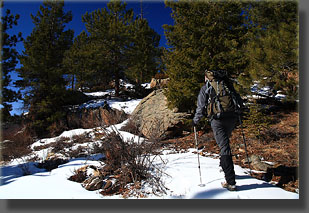 Joe heads up to the high point in the Poudre Wilderness