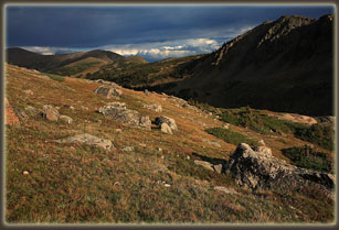 Hutcheson Basin