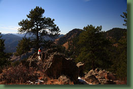 Henry enjoys the vista over the Poudre Canyon