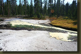 Stinking springs near Moss Creek