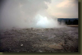 Lower geyser basin