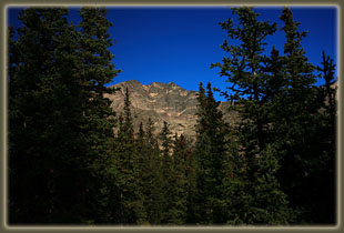 Ypsilon Peak through the spruce trees