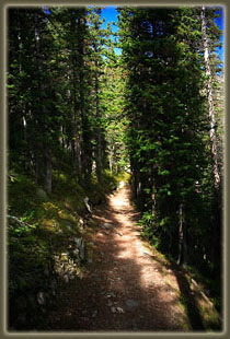Trail near Chipmunk Lake