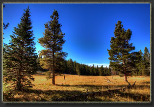 Zimmerman Trail, Colorado