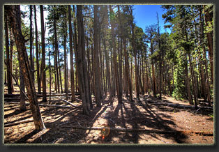 Zimmerman Trail, Colorado
